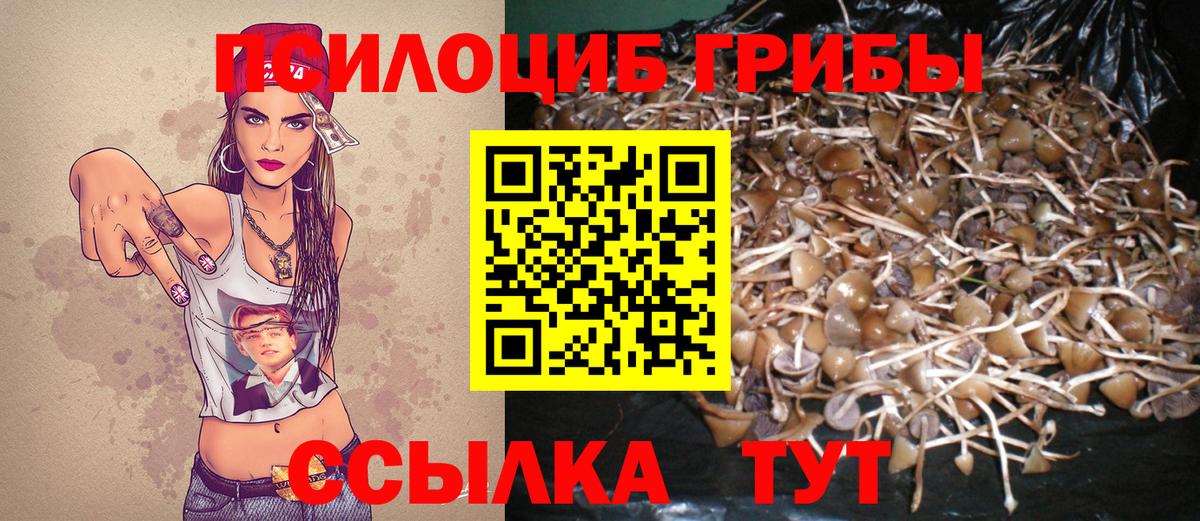 Галлюциногенные грибы прущие грибы Качканар