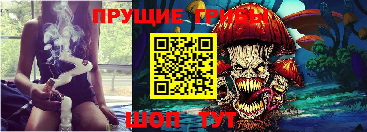 Псилоцибиновые грибы Psilocybine cubensis  Псилоцибиновые грибы MAGIC MUSHROOMS  Вход с VPN  Качканар 